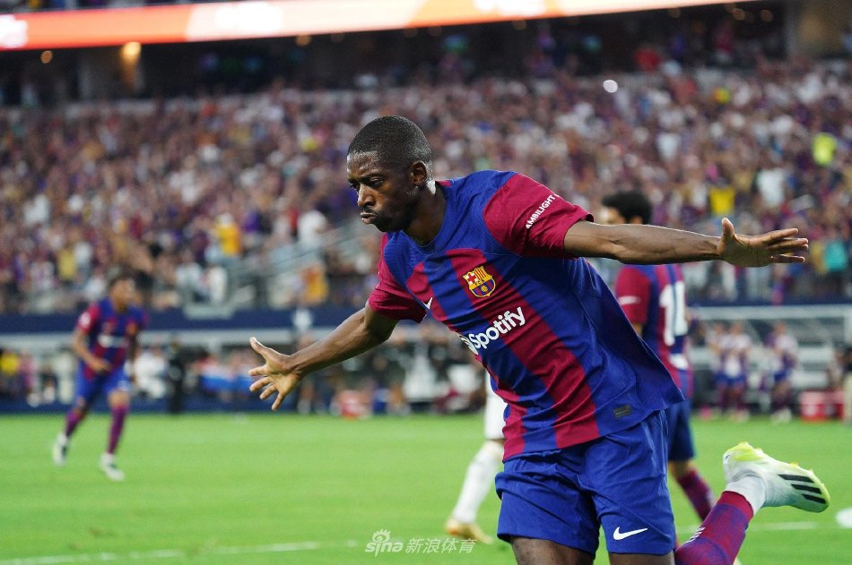 让鹈鹕难以 让鹈鹕难以